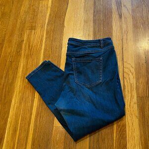 Lane Bryant Dark Blue Skinny Jeans